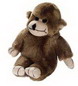 Look Whos Talking Monkey