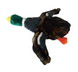 Plush Dog Toy