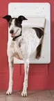 Petsafe Electronic Smartdoor 