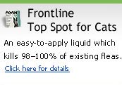 Frontline